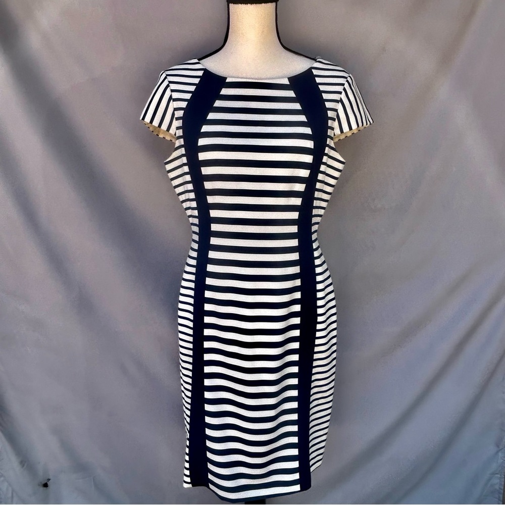 Antonio Melani Casual Navy and White Sheath Dress